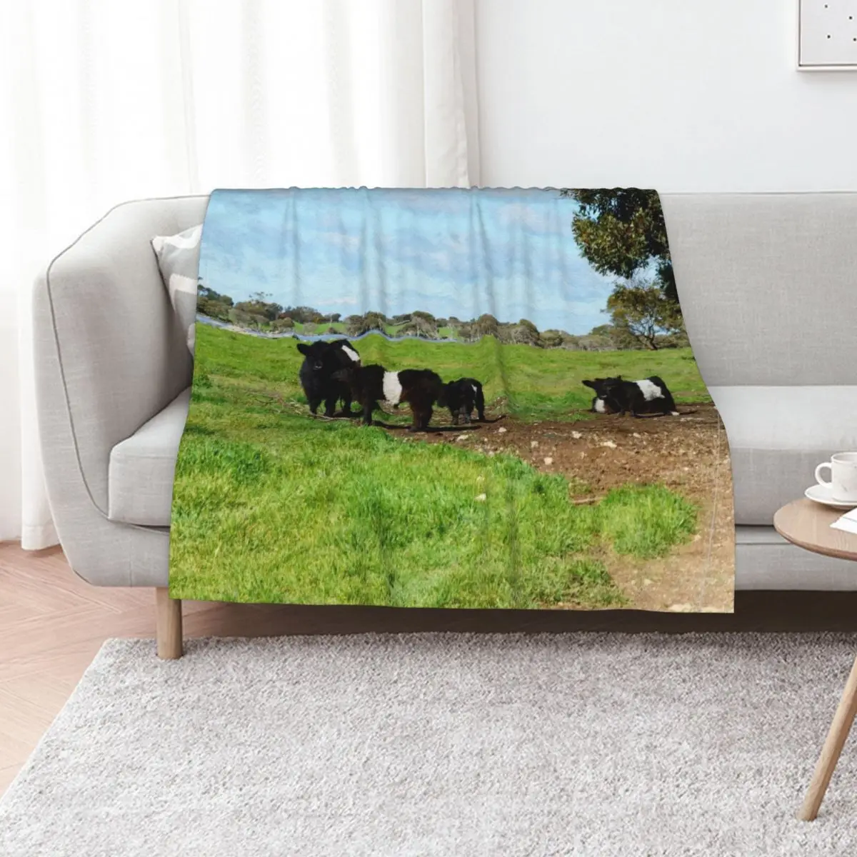 

Belted Galloway Cows And Calves, Throw Blanket Custom for winter Thermals For Travel Moving Blankets