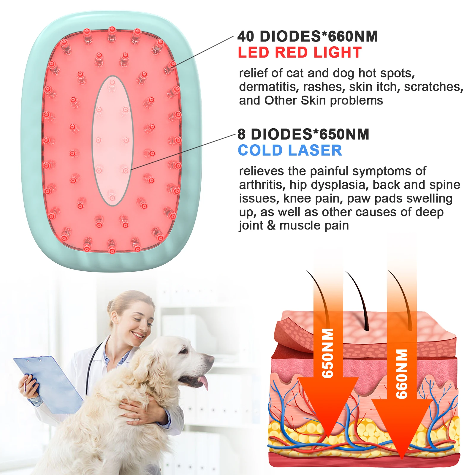 فرشاة علاج بالليزر للكلاب ، جهاز بيطري للعلاج بالضوء الأحمر لتقوية العظام ، نمو الشعر والعناية بالبشرة ، صمامات ليزر ثنائية ، 8 × 650 نانومتر #2