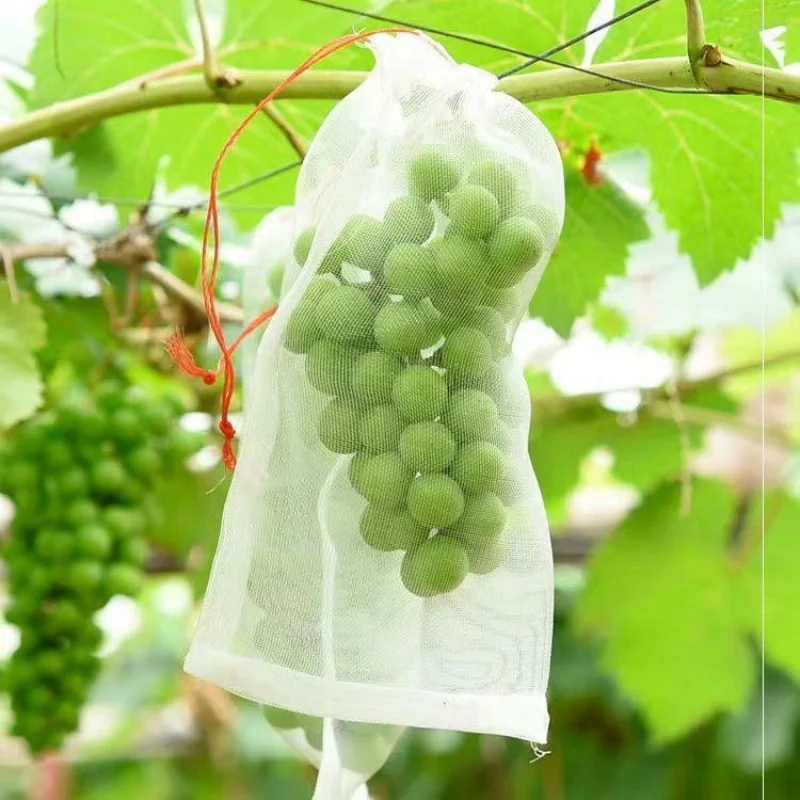 10/50 Grape Fruit Grow Bags with Mesh Netting, Used for Protecting Strawberries and Vegetables, Gift Organza Bags, Anti-Bird and Anti-Insect Orchard Net Bags