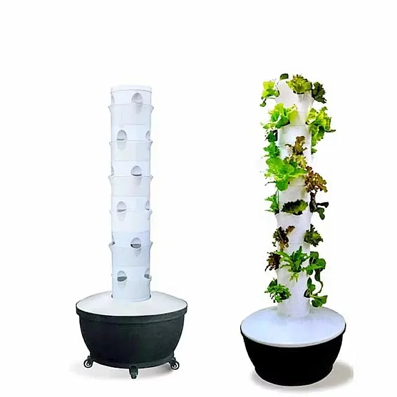 Small Size Hydroponic Greenhouse Vertical System Motor-Ventilated Shipping Container Farm for Growing Lettuce Leafy Vegetables