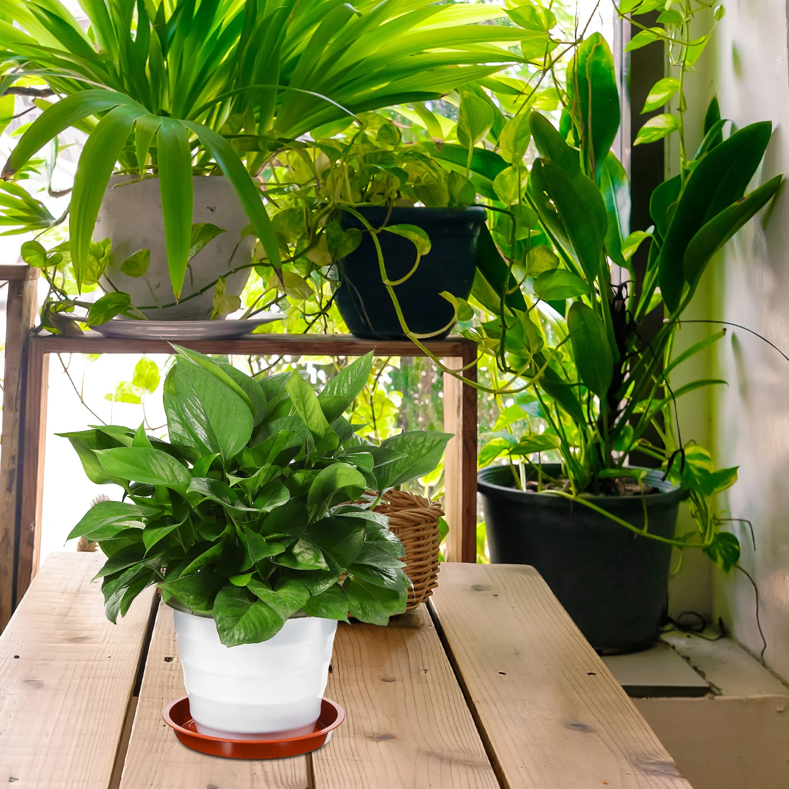 

12 pcs Plastic Flower Tray Bottom Red 140 160 180 Sizes Water Catcher Plant Saucer Drip Tray Indoor Balcony Garden Sturdy