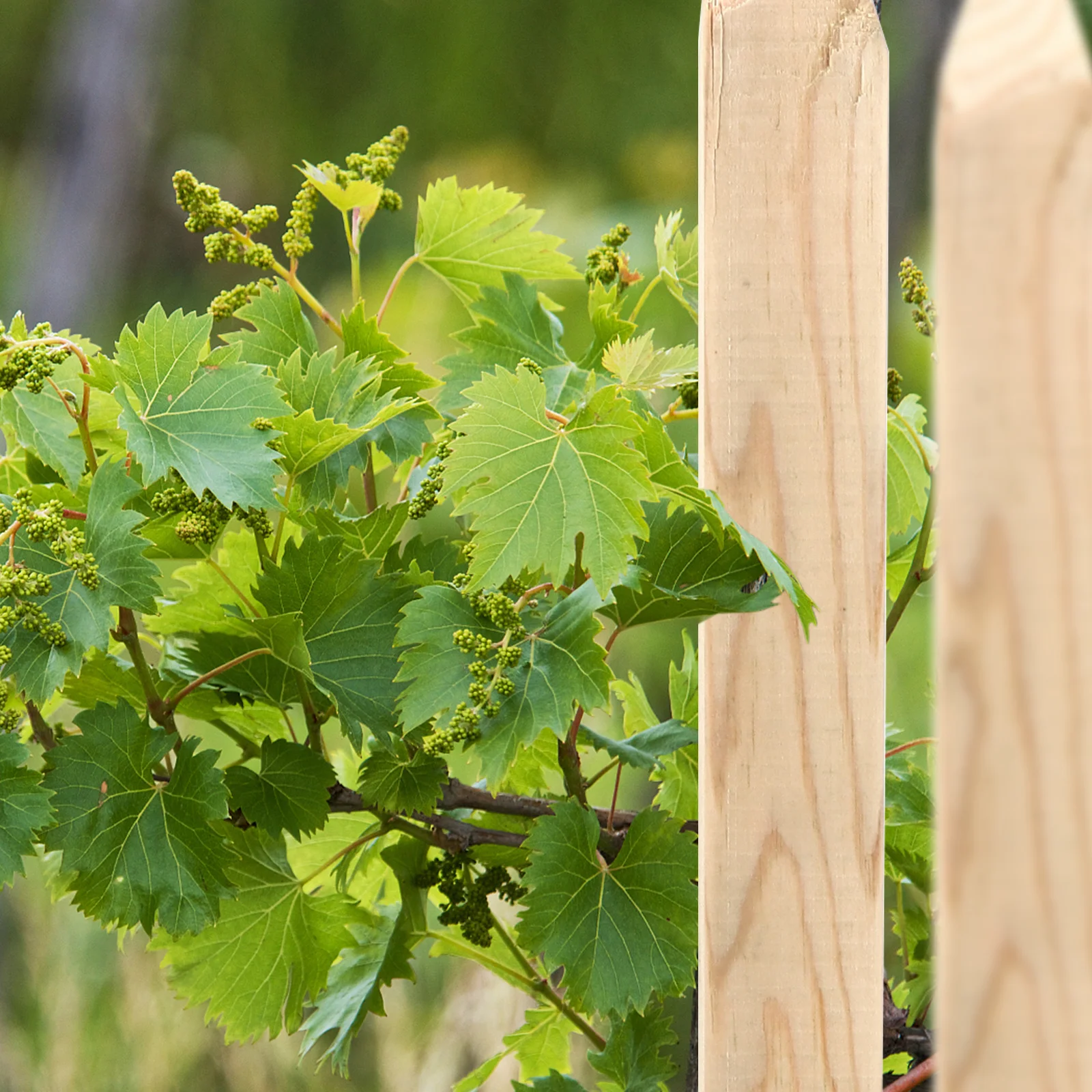 5 قطعة حصص القياس حصة أرضية خشبية لحديقة سياج الديكور بناء استخدام المشهد حافة سبايك حصص خشبية