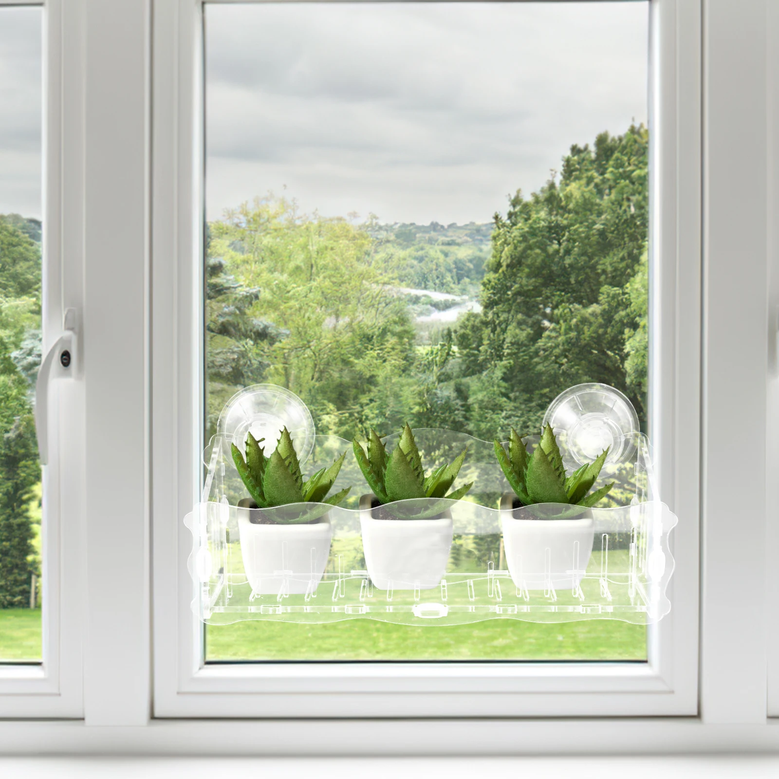 

Suction Cup Flower Pot Large Size Transparent Acrylic Window Planter Strong Hold Suction Cups Vertical Garden Organizer Plant