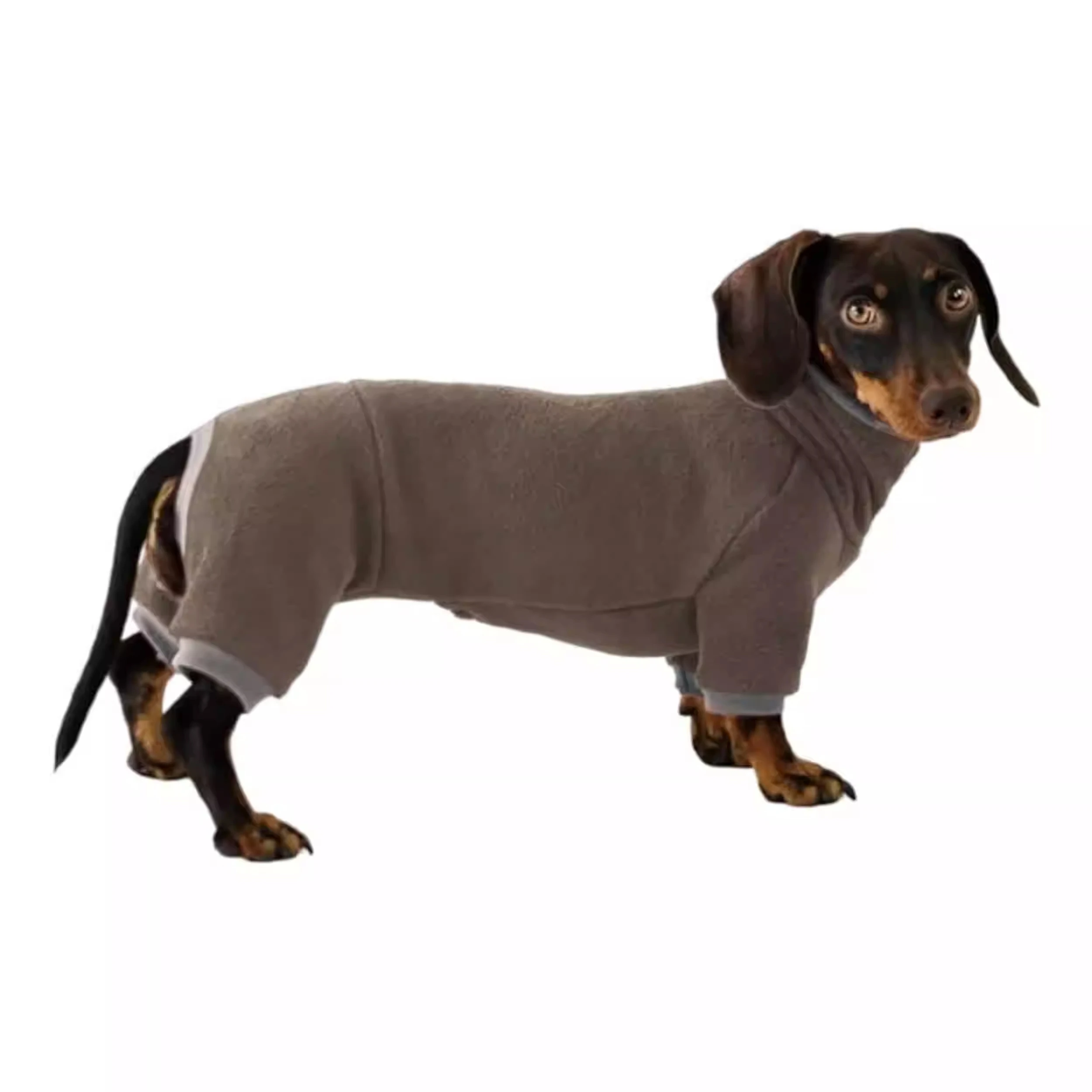 Warm Dachshund Clothes Stretch Soft Sausage Dog Four-legged Pajamas Comfortable Badger Dog Clothes in Winter