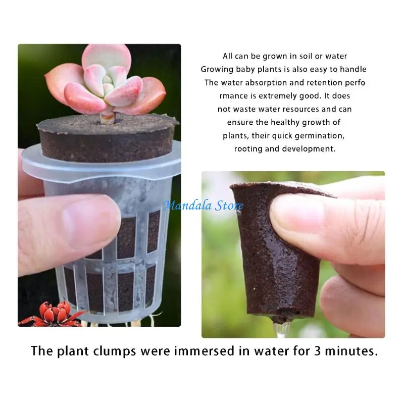 U2JC Plant Nursery Seedling Cup with Warmer Cover Humidity Indoor Garden Starting Pot Planter Container Watering Can