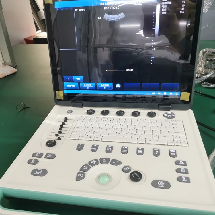 Lightweight Lap Top B/W Portable Usg Veterinary Ultrasound Scanner for Equine Bovine Cow Cattle