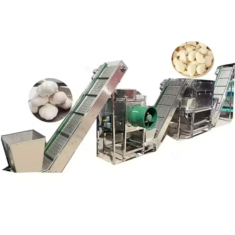 Hot Selling Chain Type Garlic Peeling Machine Electric Commercial Garlic Separator Garlic Peeler