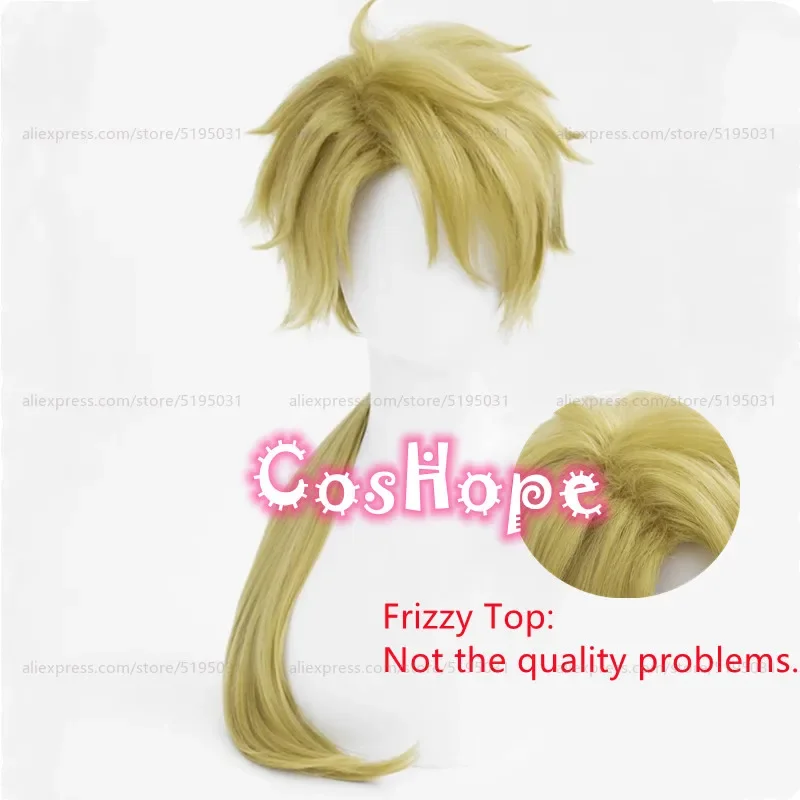 Kunikida Doppo Cosplay Wig 70cm Long Frizzy Wig Anime Cosplay Wigs Heat Resistant Synthetic Wigs