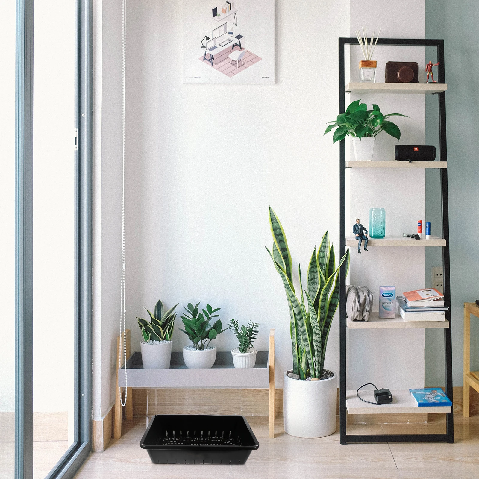 

2pcs Seedling Trays Garden Propagator Set Plastic Germination Pot Drainage Holes Sprouter Tray for Indoor Plants