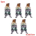 PE6613CT