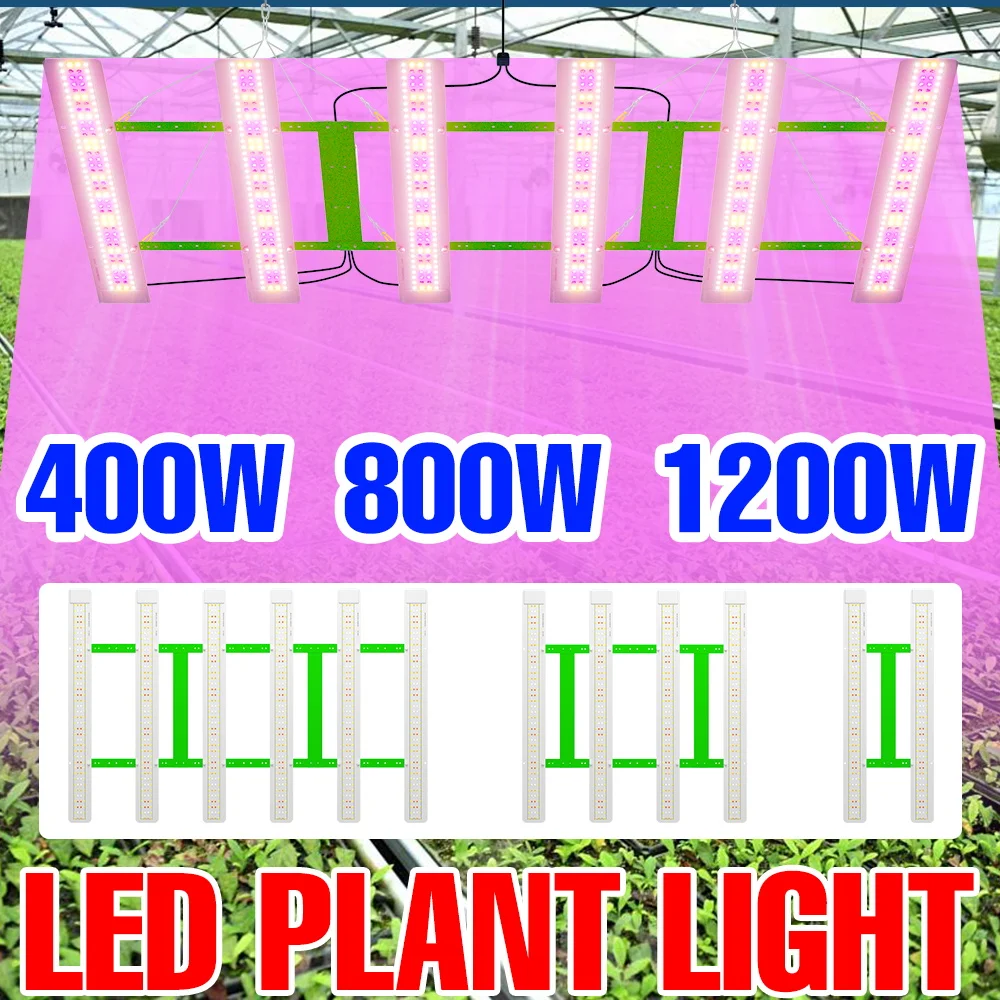 

1200W LED Grow Lights Full Spectrum Quantum Board Plant Cultivation Lamp US/EU Plug For Indoor Greenhouse Moss Cactus Vegetables