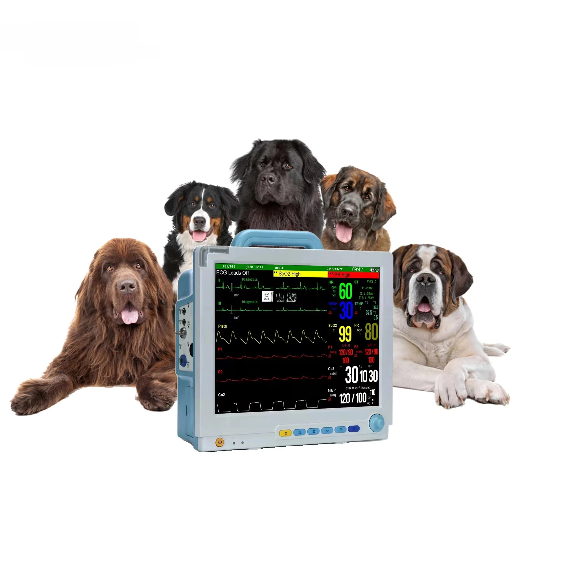 Multi Parameter Pet Monitor with Bluetooth ISO Certified