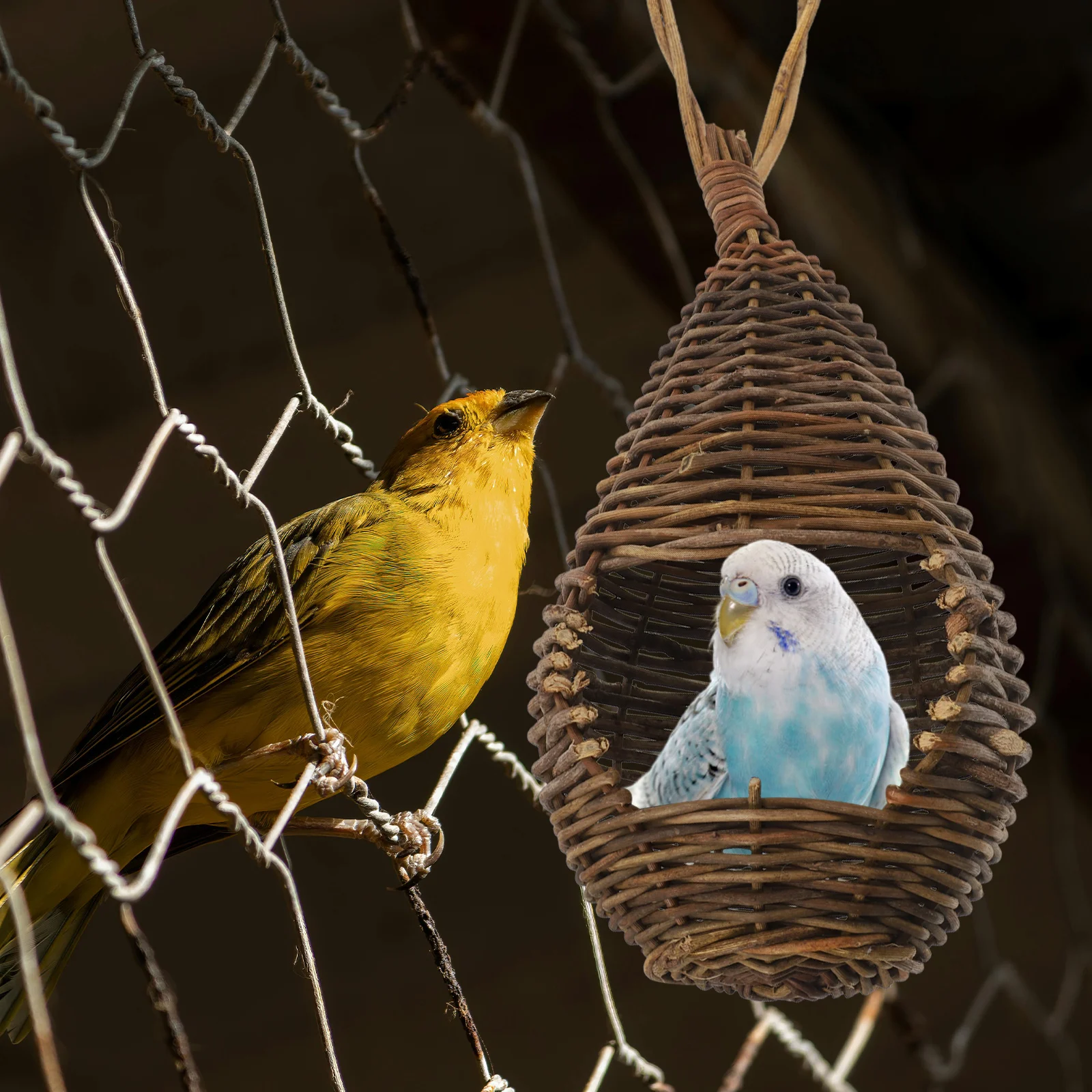 

Rattan Bird Nest Woven Twig Decorative Home Vine Artificial Nests for Parrots Small Birds House Garden Hanging