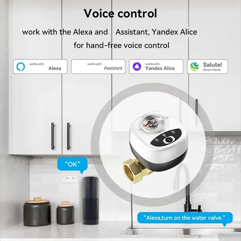 Zigbee pengontrol katup pintar, aplikasi katup bola Ewelink kontrol jarak jauh IP65 katup air tahan air bekerja untuk Alexa