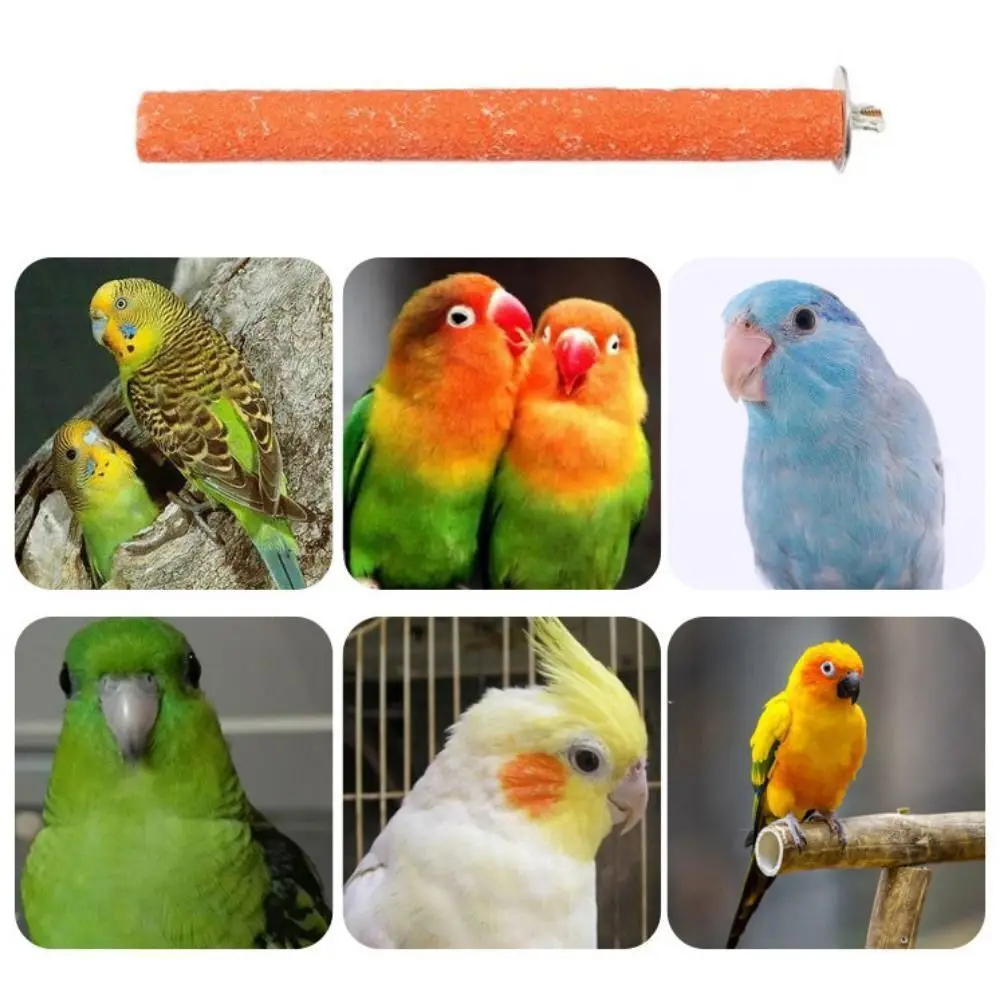 لوازم الطيور مخلب الطيور منقار طحن بار مقاومة للاهتراء قفص العصافير اكسسوارات مخلب الطيور طحن عصا دائم الطبيعية #1