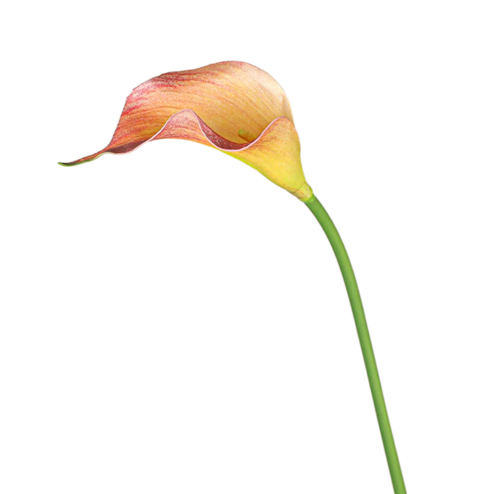 

3pcs 50cm Artificial Calla Flower Real Touch Handmade Simulation Sea Taro Flower EVA Faux Flower Bouquet Weddings Party Decor