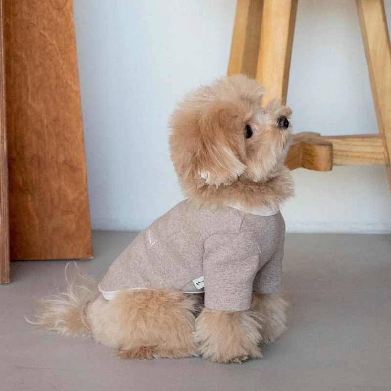 Autumn/Winter Thermal Base Layer/Sweatshirt for Dogs Cats Versatile Embroidered Apparel for Small Breeds Pet ClothesTeddy Bichon