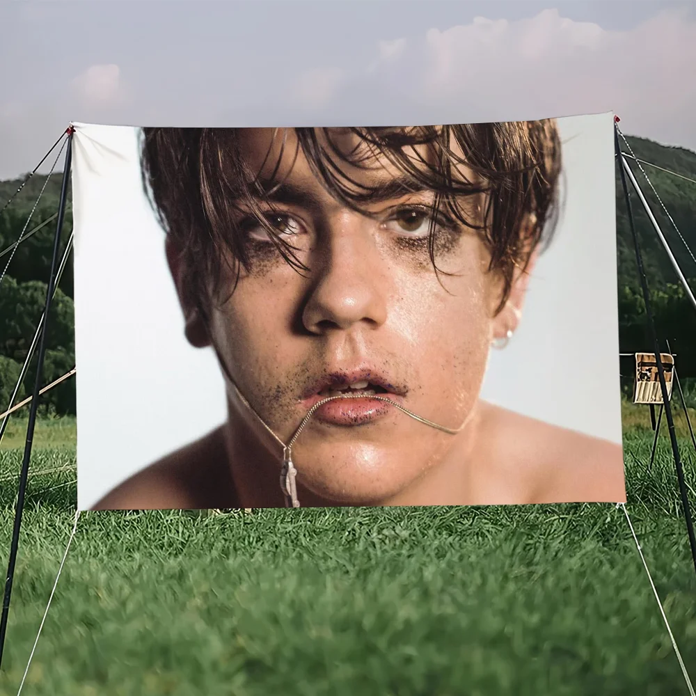 Singer Declan McKenna flag College Bedroom Living Room Home Dorm Decor Funny Tapestry Garage Bar Wall Club Banner