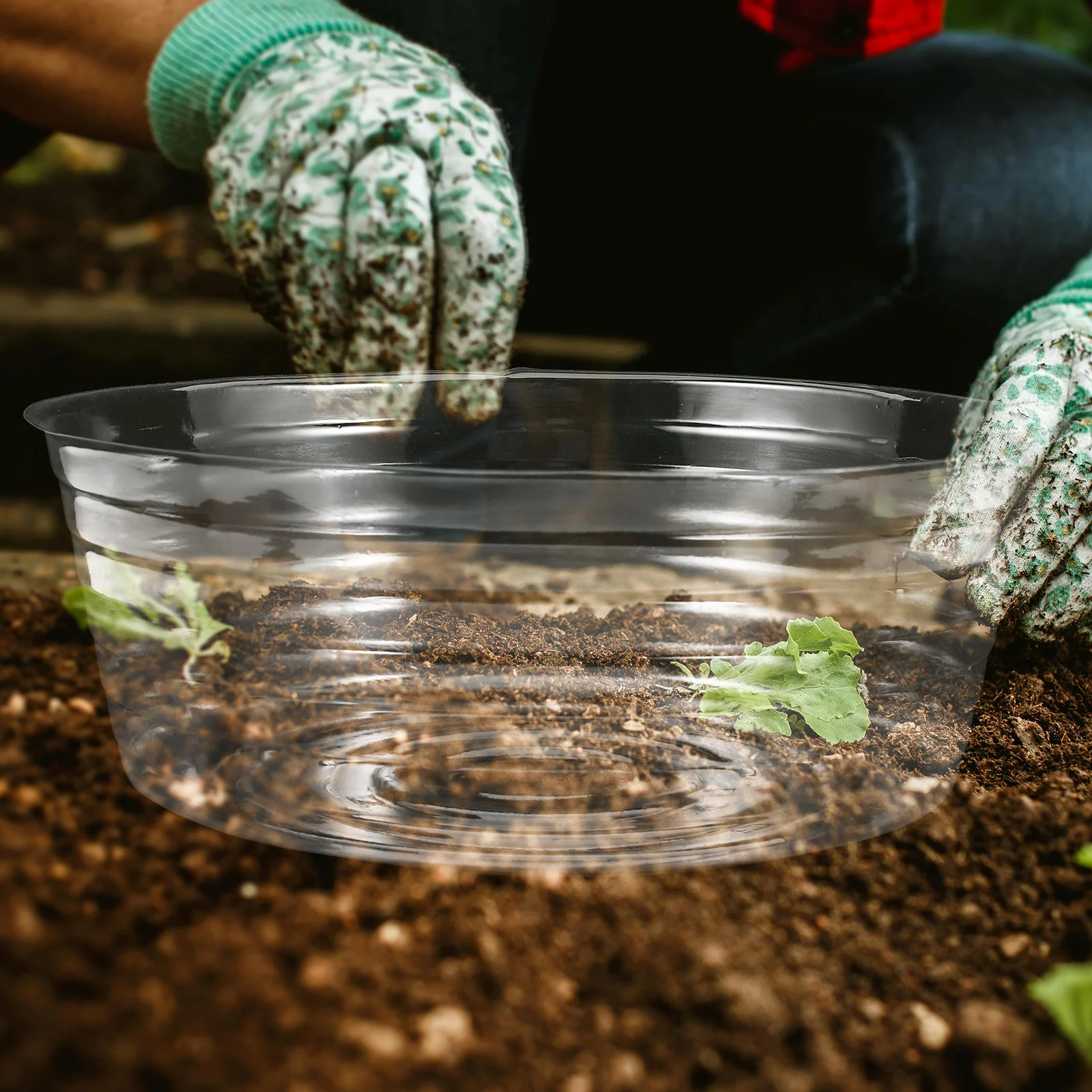 

20Pcs Transparent Hydroponic Nursery Pots Clear Plastic Root Planter Trays Plant Drip Trays for Indoor Balcony Gardening