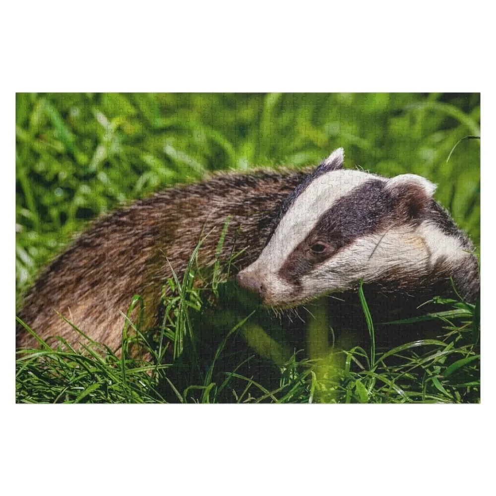 Mr Brock the Badger Jigsaw Puzzle Custom Name Wood Works Of Art Wood Animals Personalised Puzzle