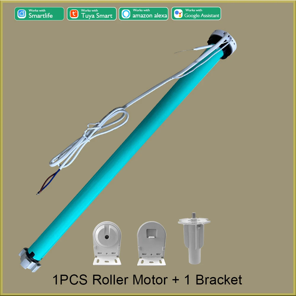 One Motor 1 Bracket