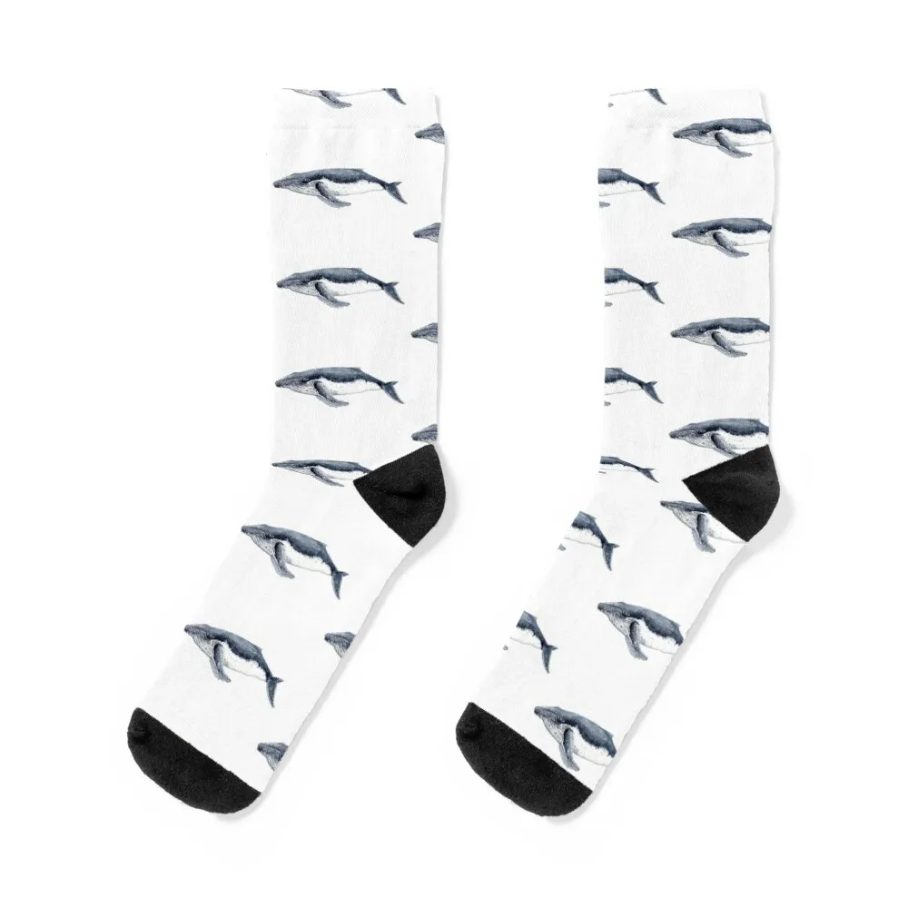 

Humpback whale (Megaptera novaeangliae) Socks sports and leisure cartoon basketball Lots Socks Male Women's