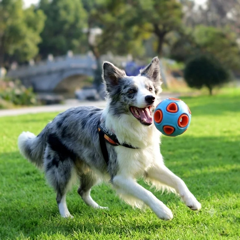 Dog Toy Ball 8cm Double Layer Rubber Indestructible Heavy Duty Chew Toys For Large Dogs Bite Resistant Interactive Pet Supply