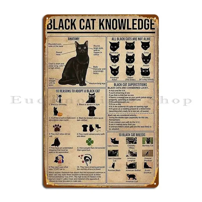 Black Cat Knowledge Metal Sign Living Room Poster Bar Garage Print Tin Sign Poster