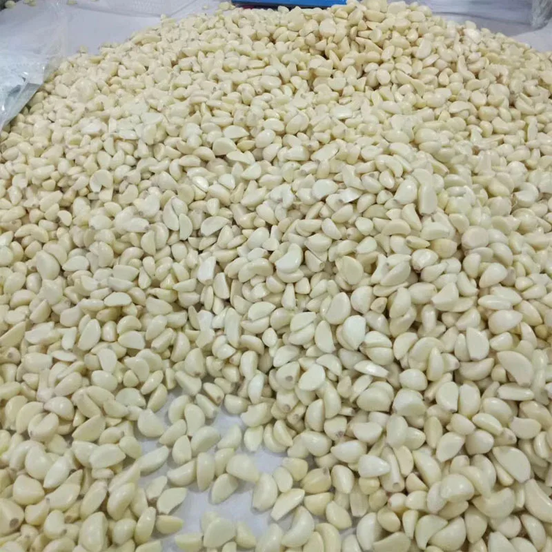 200-2000Kg/H Small Garlic Skin Remover Electric Garlic Clove Separating Machine Dry Garlic Peeling Peeler Machinery