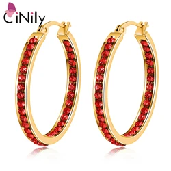 CiNily Stainless Steel Hoop Earrings with Stone Yellow Gold Plated Circle CZ Earring Rock Punk for Women Party Fashion Jewelry