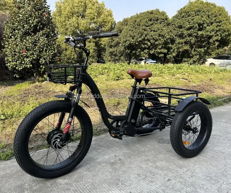 Hot Sell Durable 3-Wheel Front Motor E-Bike 2025 New 45KM/H Fast Affordable for Delivery Business EU Warehouse