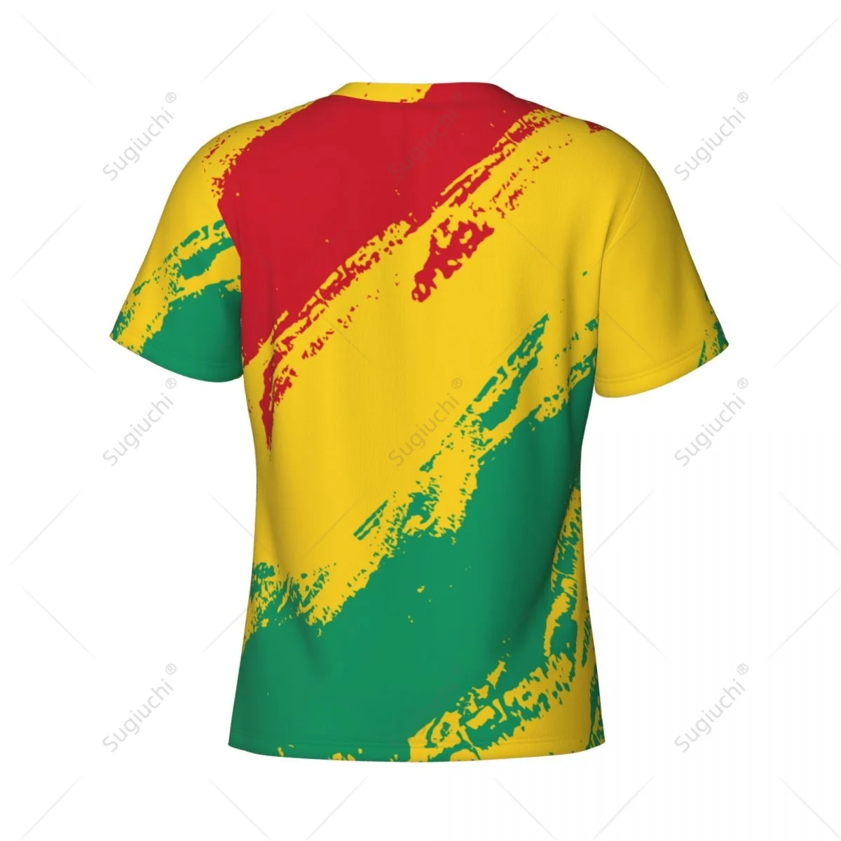 Custom Name Nunber Guinea Flag Color Men Tight Sports T-shirt Women Tees jersey For Soccer Football Fans