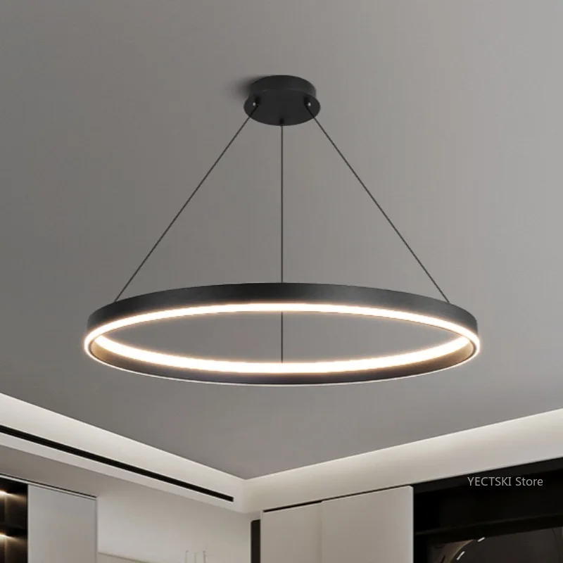 

Modern, minimalist, grand dining table, main light, minimalist circular living room pendant light