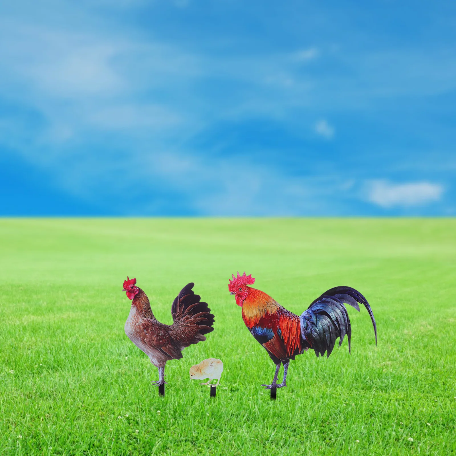 

Decorative Chicken Realistic Lifelike Decorations Hens and Chicks for Yard Rooster