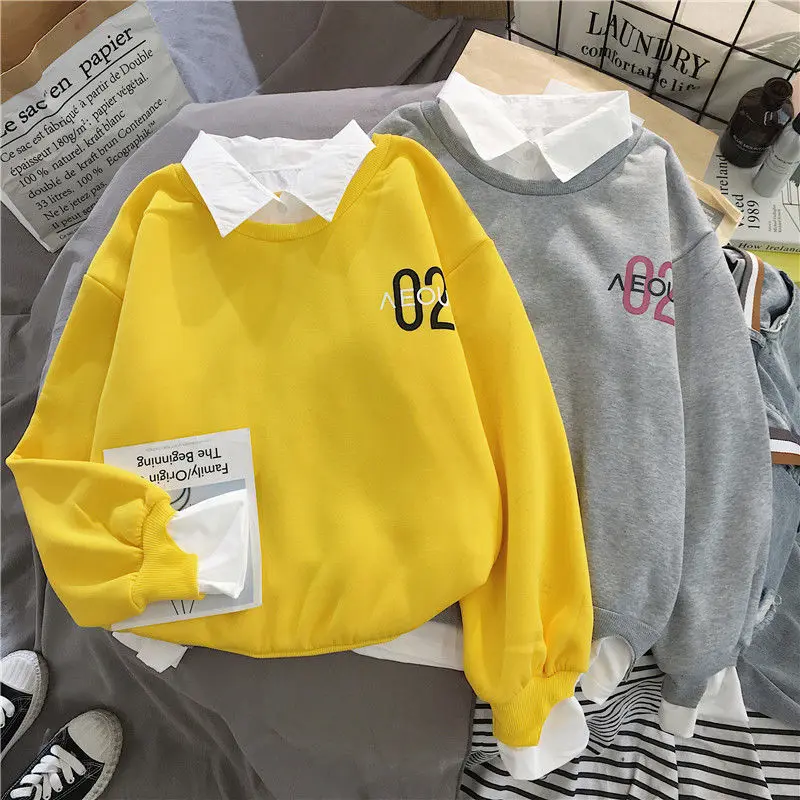 Felpa sottile primaverile da donna ins student BF style autunno e inverno versione coreana sciolto più tendenza sociale ispessimento in velluto