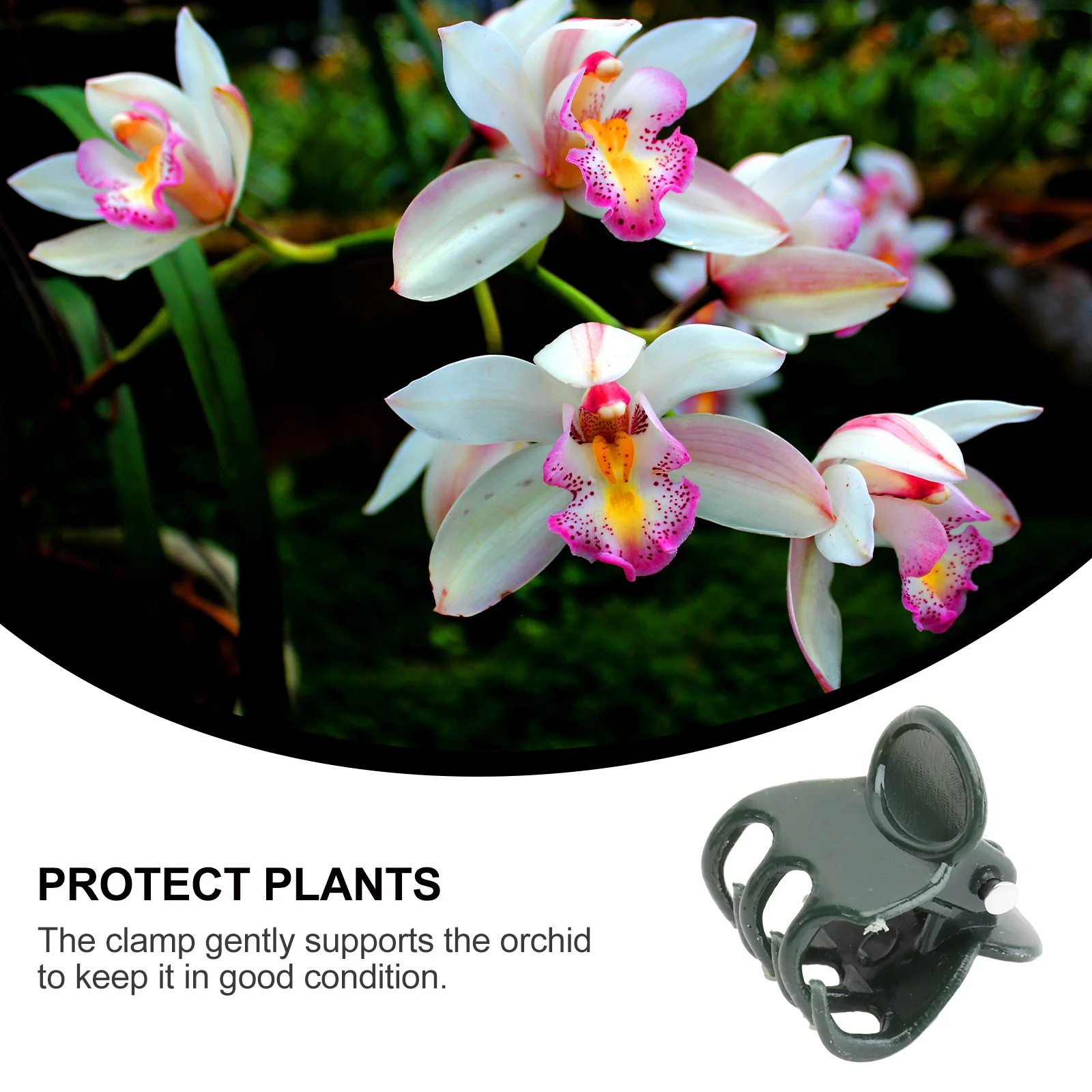 100Pcs Butterfly Orchid Clips Plastic Plant Support Clips for Fixing Garden Flower Holder Clip Plant Gripper