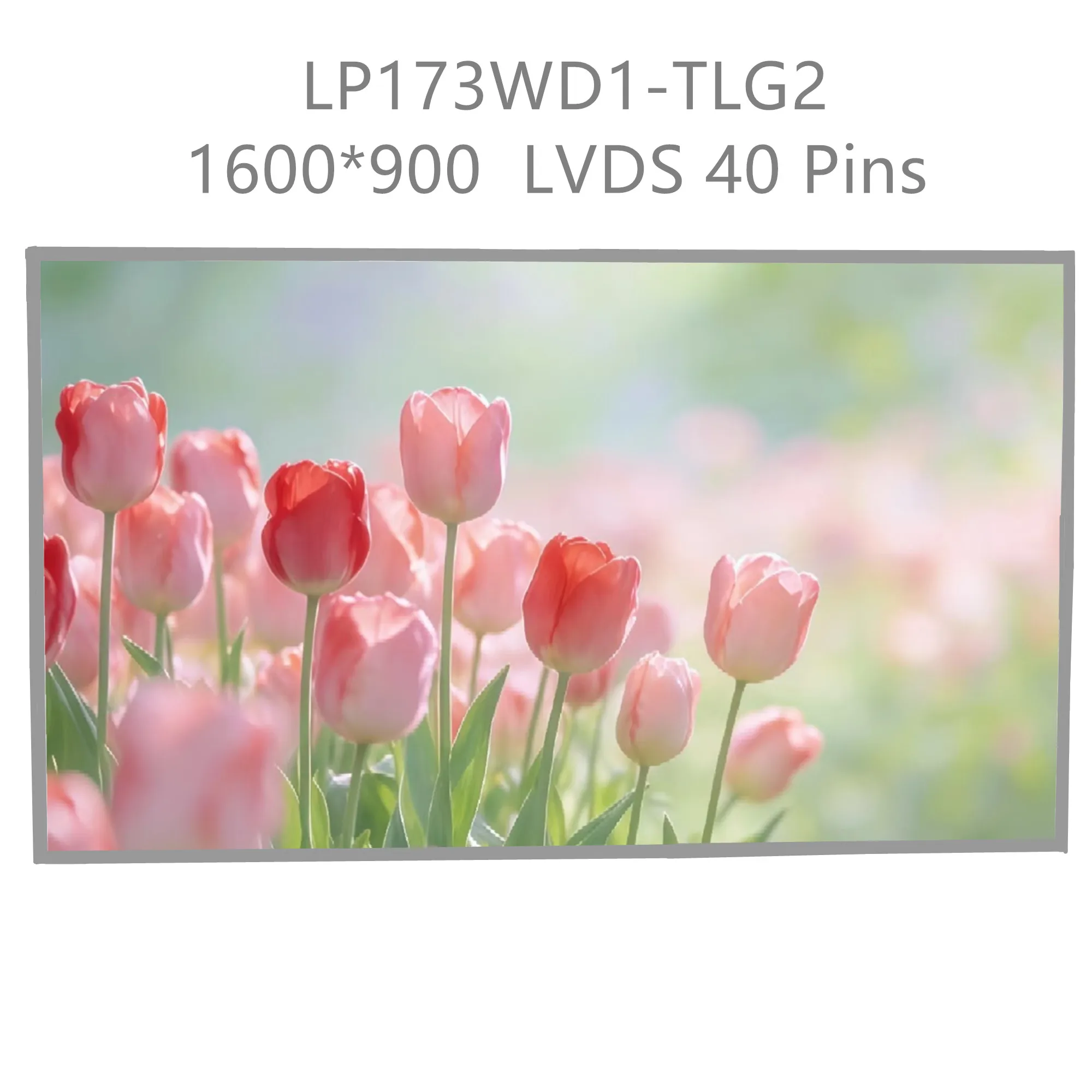 LP173WD1-TLG2 LP173WD1-TLG1 TLN1 TLN2 N173FGE-L63 L23 L21 L13 L12 LTN173KT01 17.3'' Laptop LCD Screen 1600*900 40 Pins