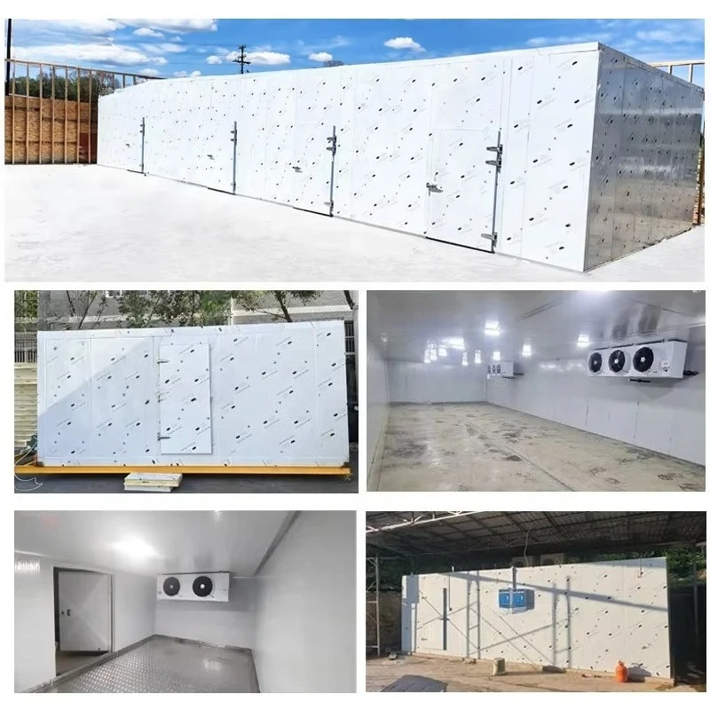 Customized Walk In Chiller Cold Storage Chamber With Remote Control Monitoring For Chicken Beef Seafood