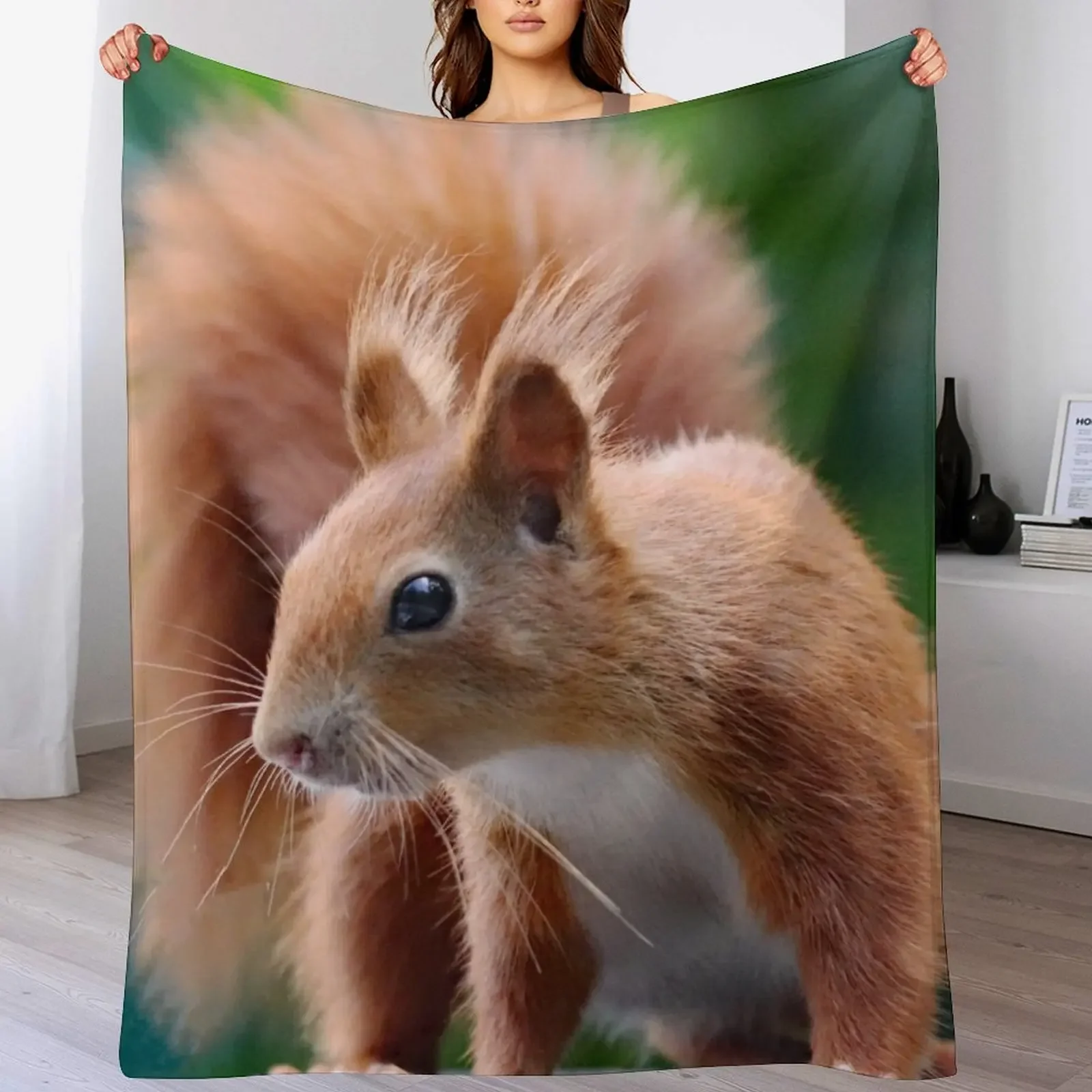 

A Gorgeous Red Squirrel Throw Blanket Plaid on the sofa Flannels Beach Blankets Sofas Of Decoration Blankets