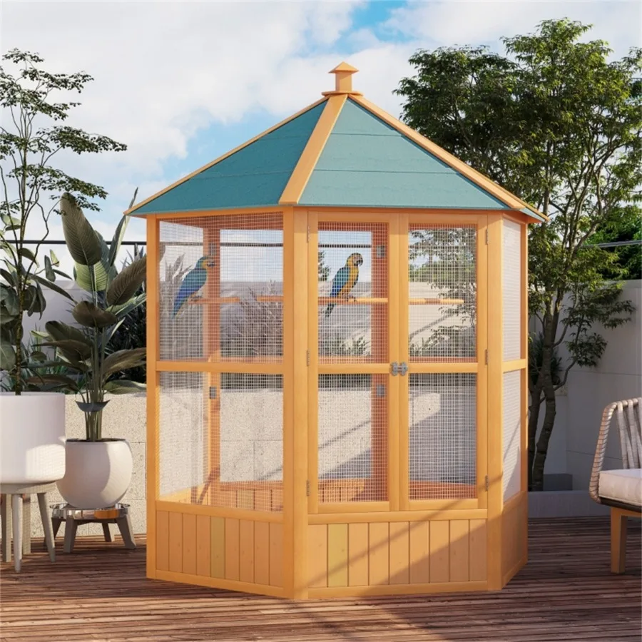

Bird Cage, 2026 year