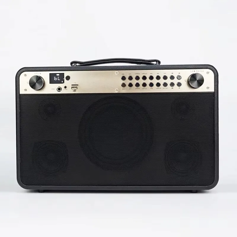 

100W Factory New Design Guitar Amplifier Treble Bass Sound Wireless Microphone Instrument Sound