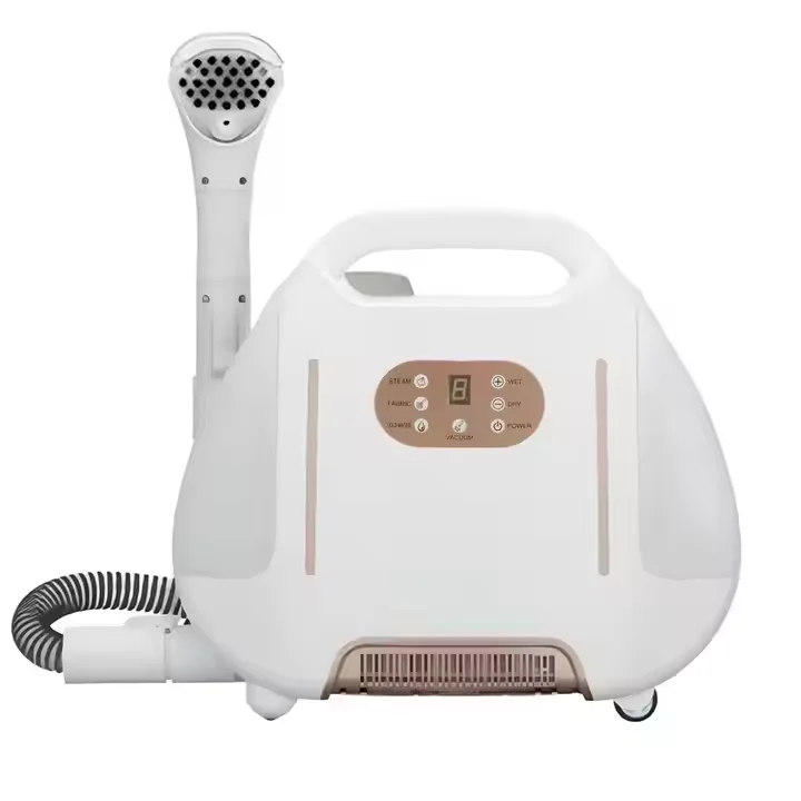 Household Electric Multi-functional Adjustable Wet and Dry Handheld Steam Cleaner with Fast Heating and Continuous Dust Removal