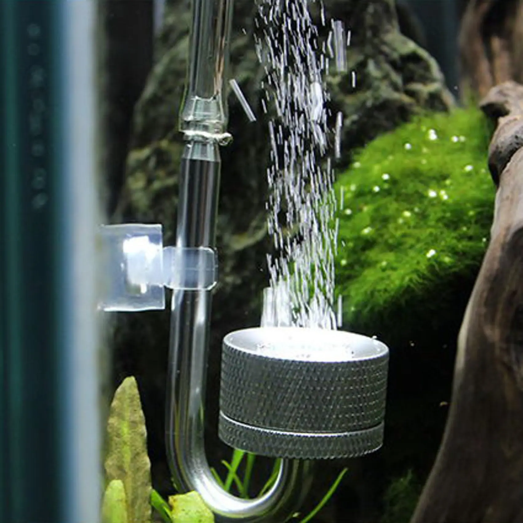 A19F-10X Set CO2 Diffuser Atomizer Regulator Reactor For Fish Tank Aquarium Plant Moss