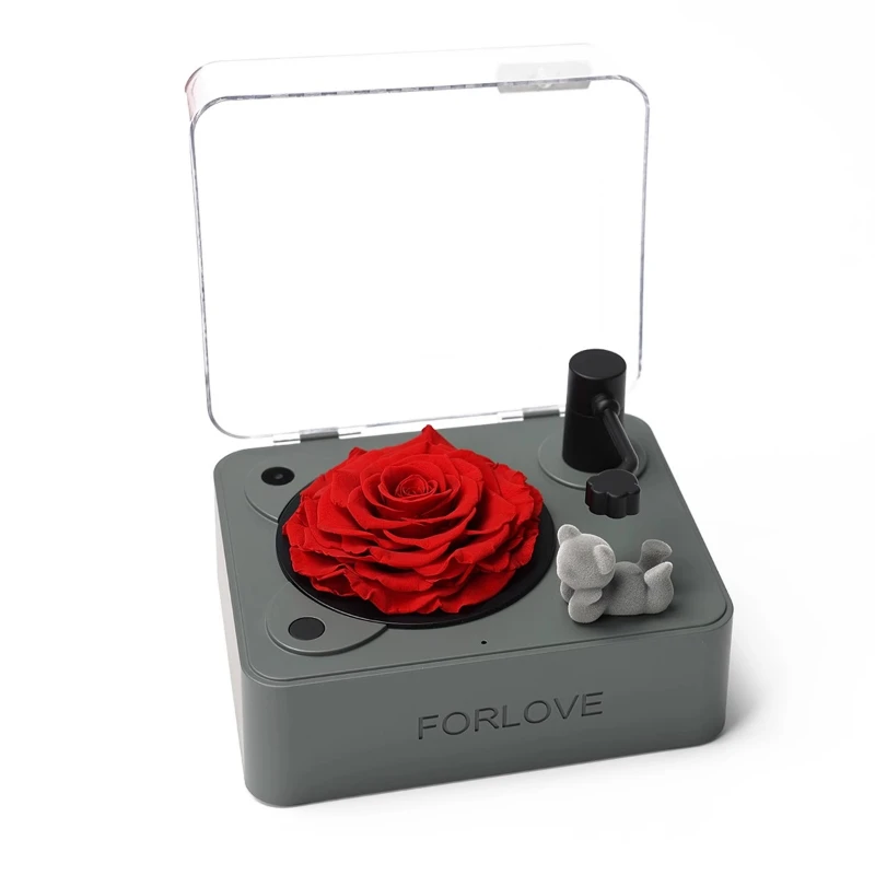 Медведь Роза Грамофон Бессмертность Подарок