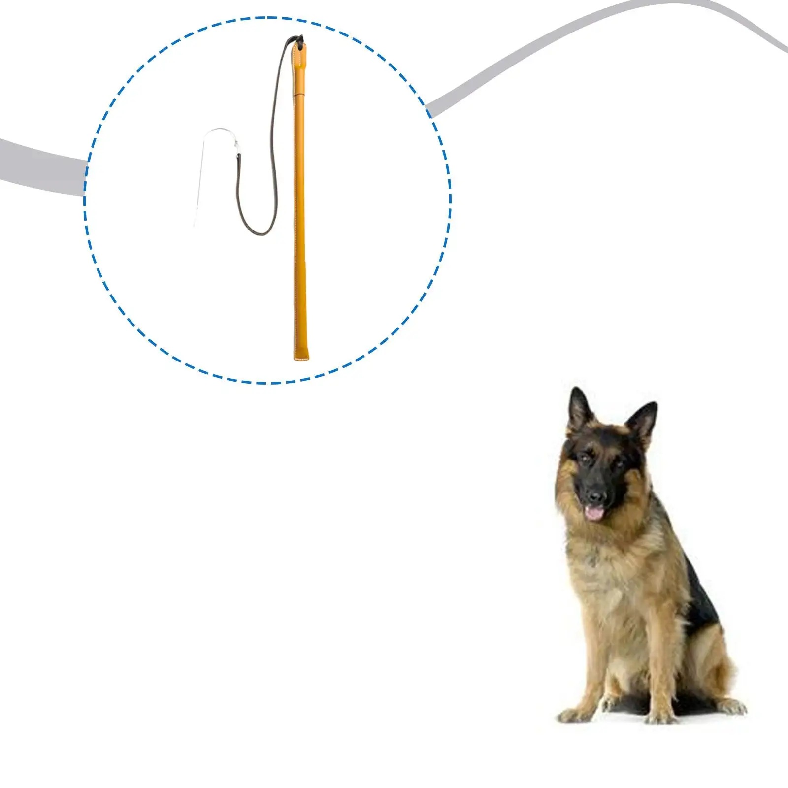 Dog Training Whip, …