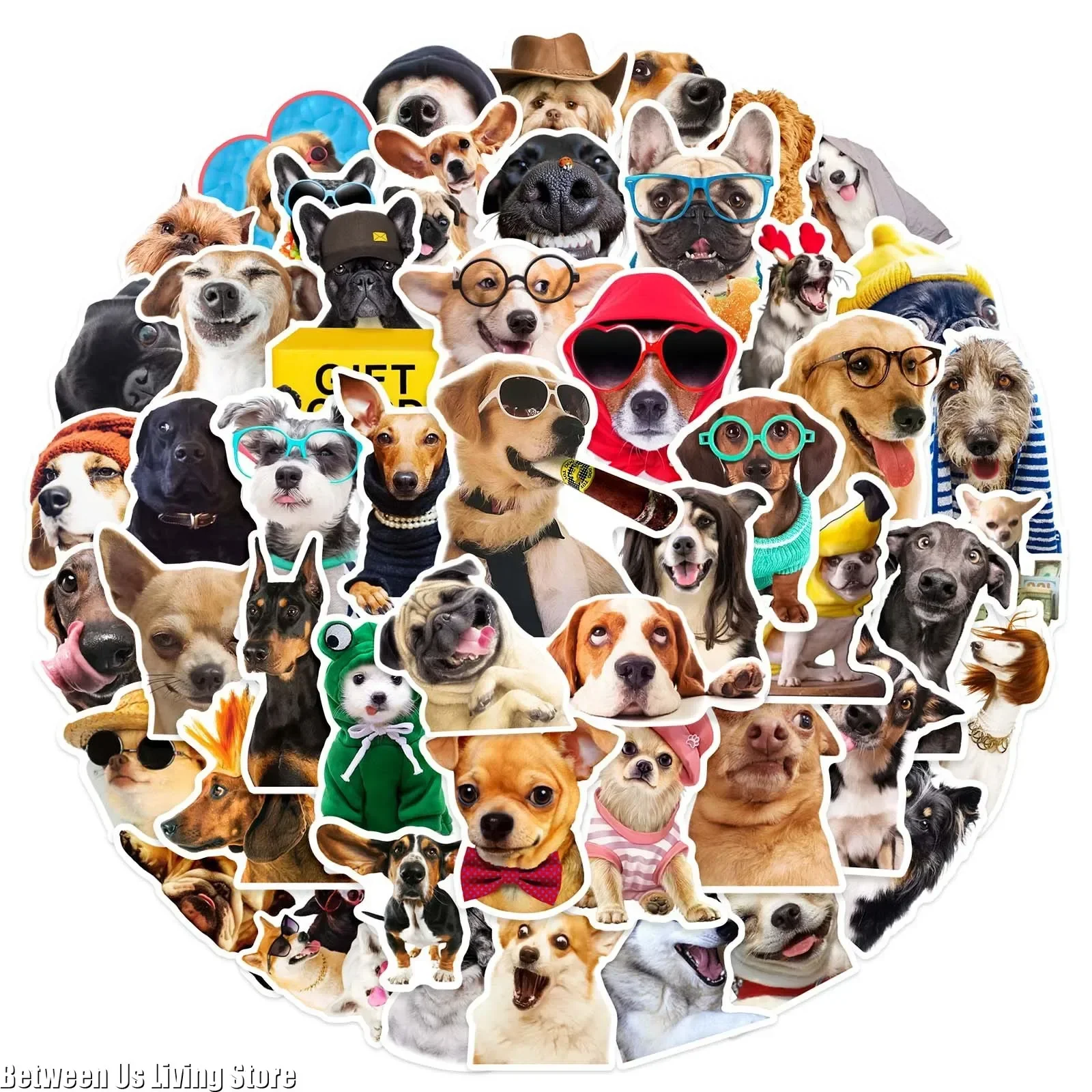 

50 шт. наклейки принадлежности для скрапбукинга Diy блокнот школьный портфель дневник водонепроницаемые наклейки