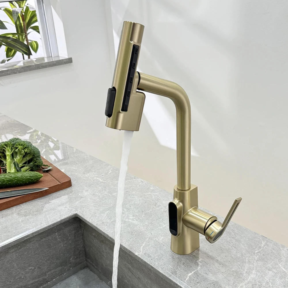 

SKOWLL Pull Down Kitchen Faucet with 2 Spray Modes, Single Handle Pull Out Sink Mixer Tap