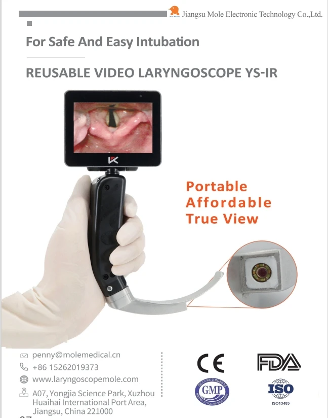 Ent Endoscope Portable Mini Flexible Ent Videoscope Video Laryngoscope Reusable Laringoscopio