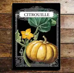 Garden seeds Citrouille Pumpkin Kitchen Metal Sign