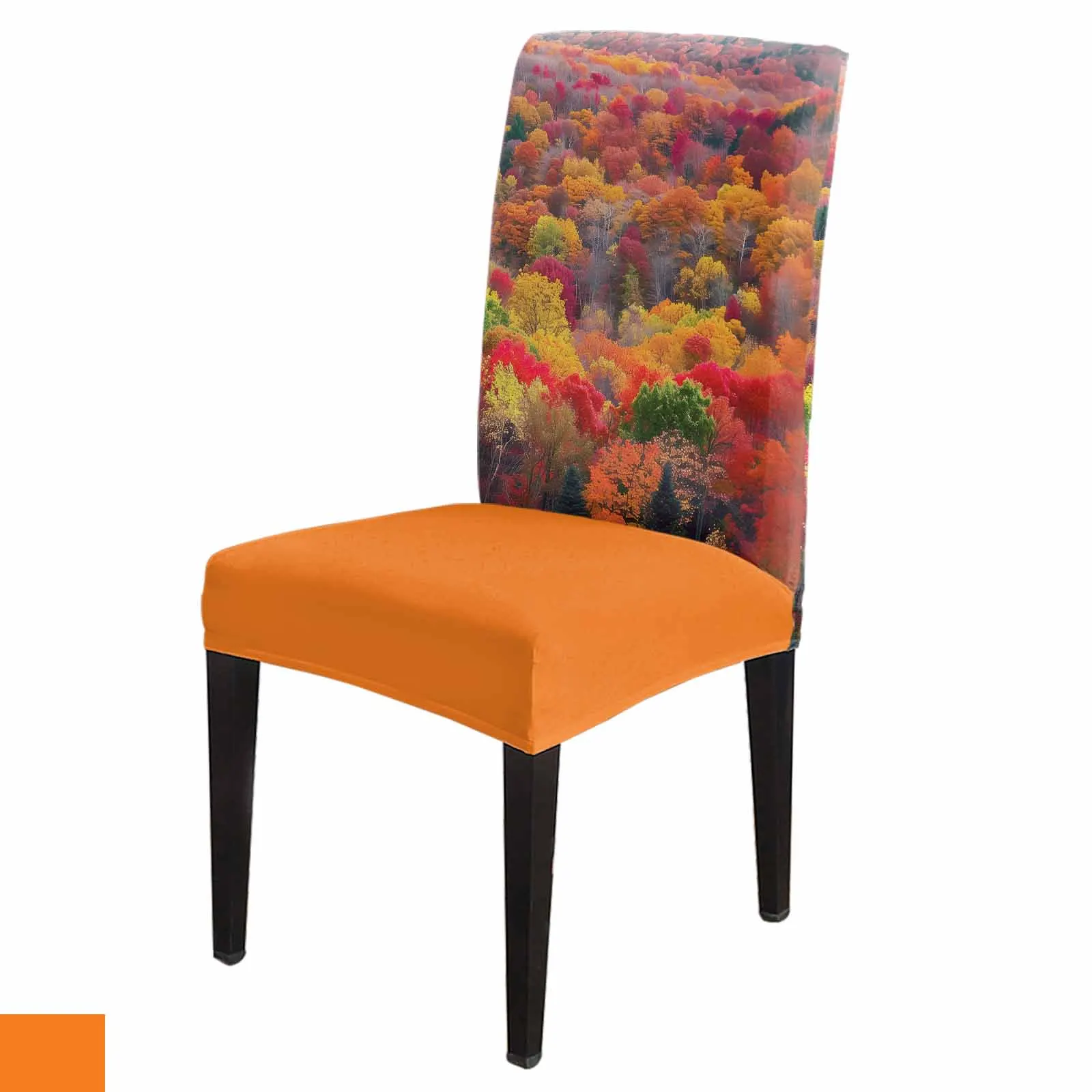 

Autumn Forest Fallen Leaves Chair Cover for Dining Room Spandex Stretch Seat Cover for Wedding Banquet Party Seat Case